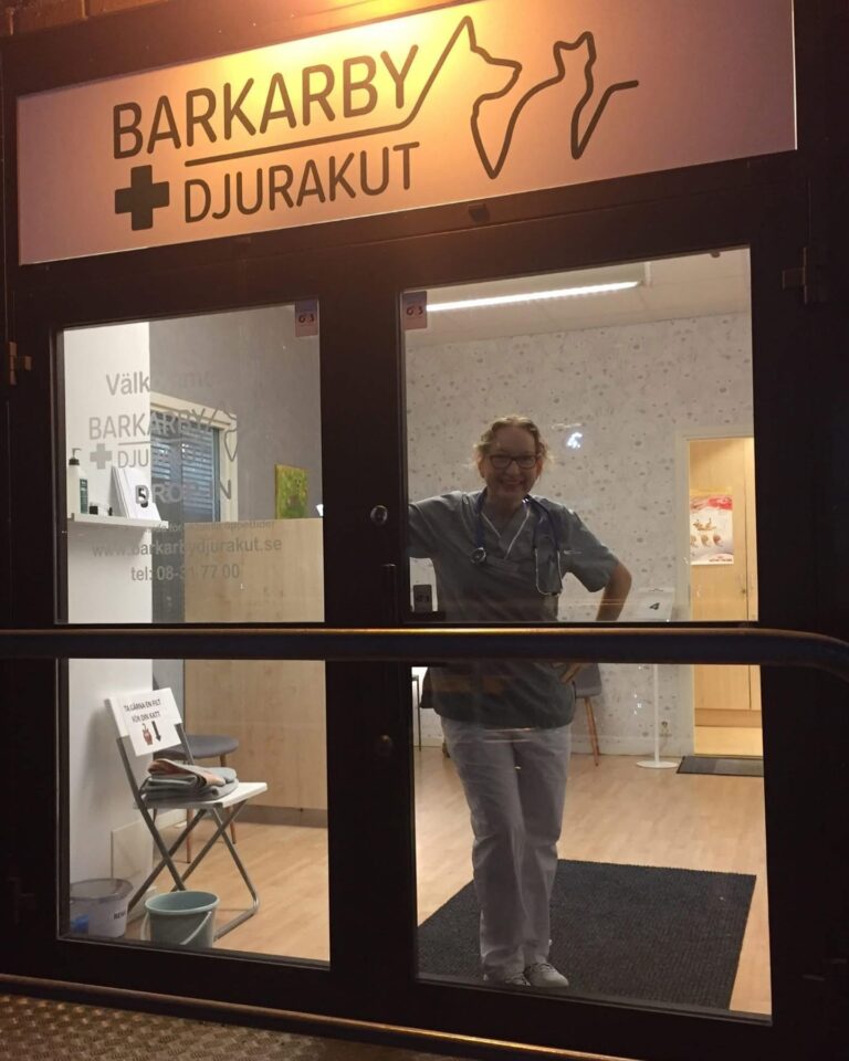 Instagram post from barkarbydjurakut.se. This post is in position 11.