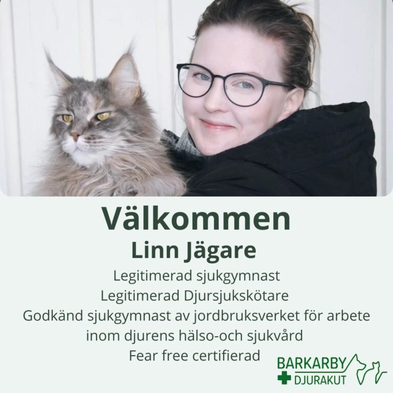 Instagram post from barkarbydjurakut.se. This post is in position 19.