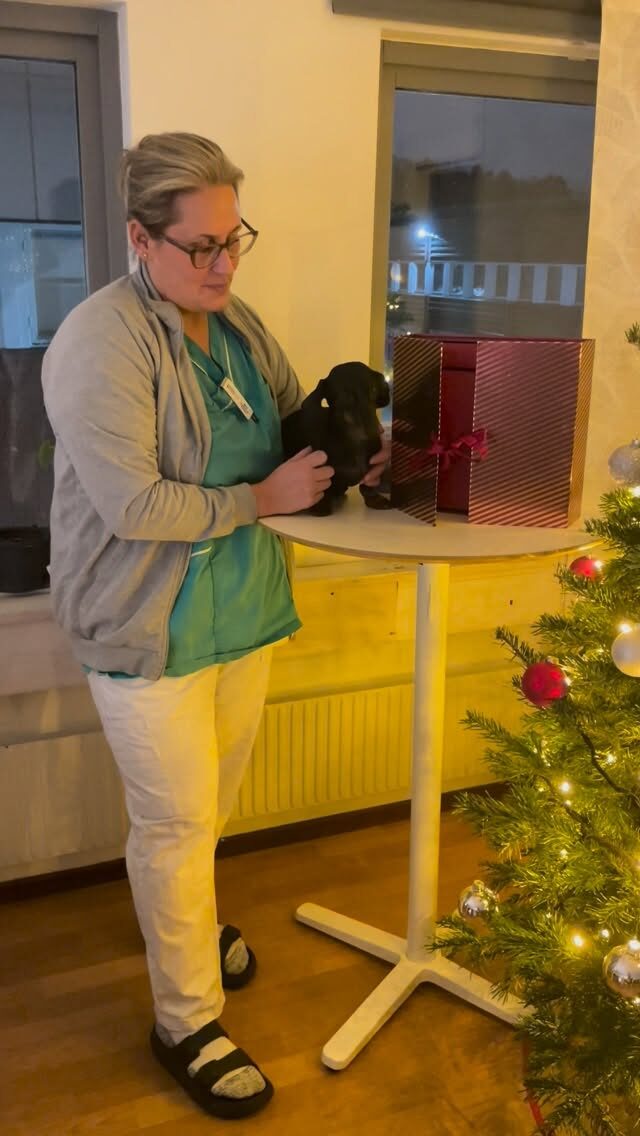 Instagram post from barkarbydjurakut.se. This post is in position 11.