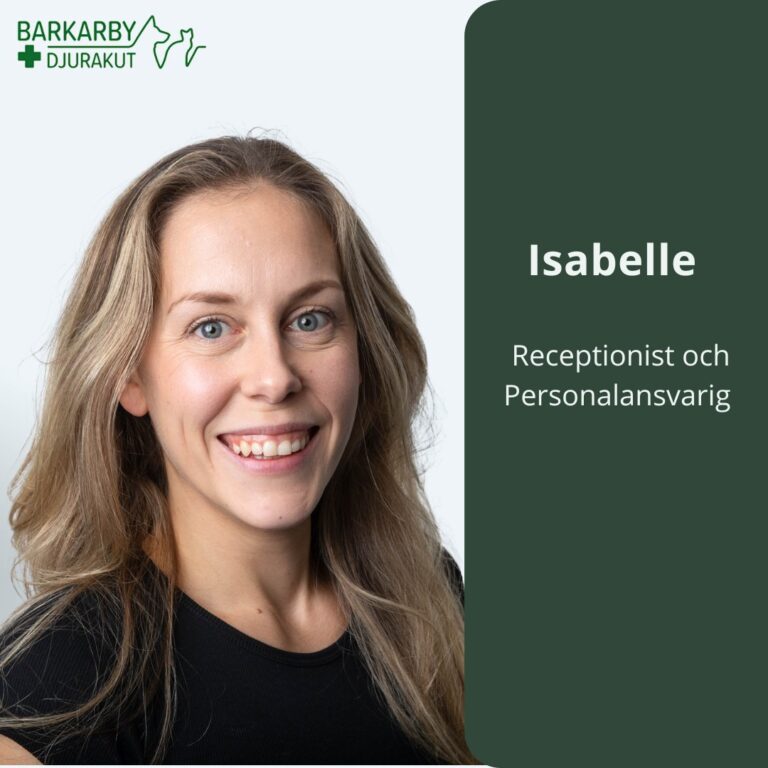 Instagram post from barkarbydjurakut.se. This post is in position 8.