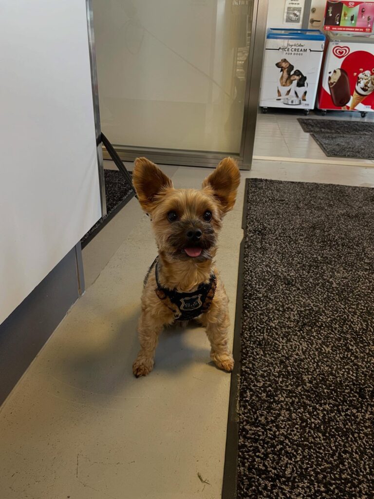 Instagram post from barkarbydjurakut.se. This post is in position 16.