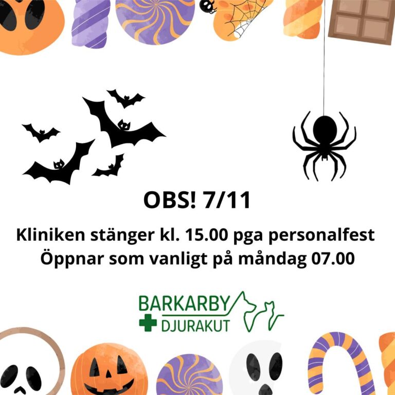 Instagram post from barkarbydjurakut.se. This post is in position 9.