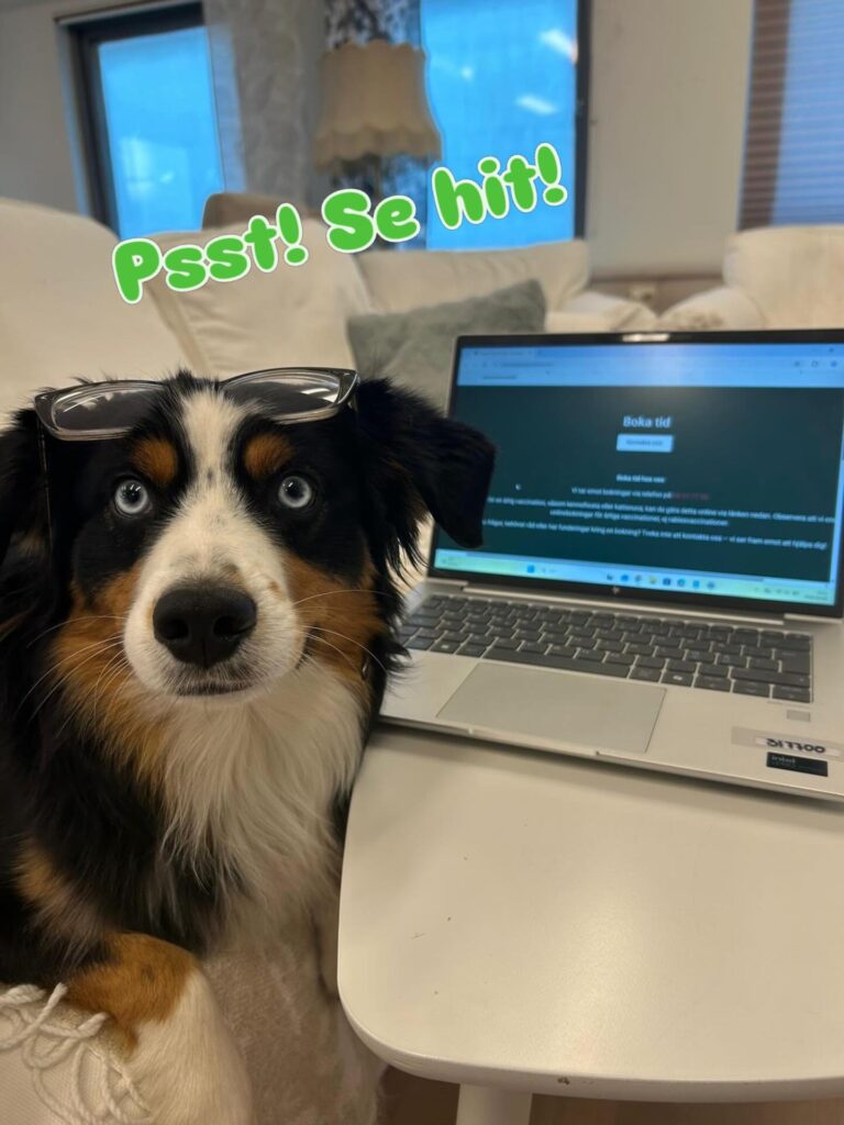 Instagram post from barkarbydjurakut.se. This post is in position 1.