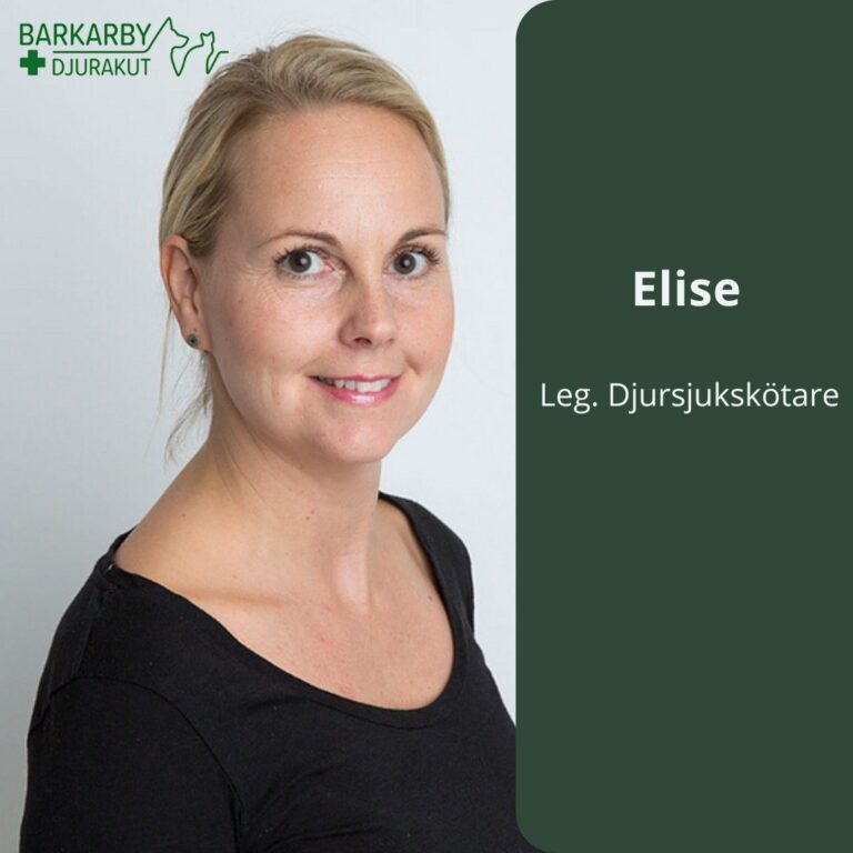 Instagram post from barkarbydjurakut.se. This post is in position 1.