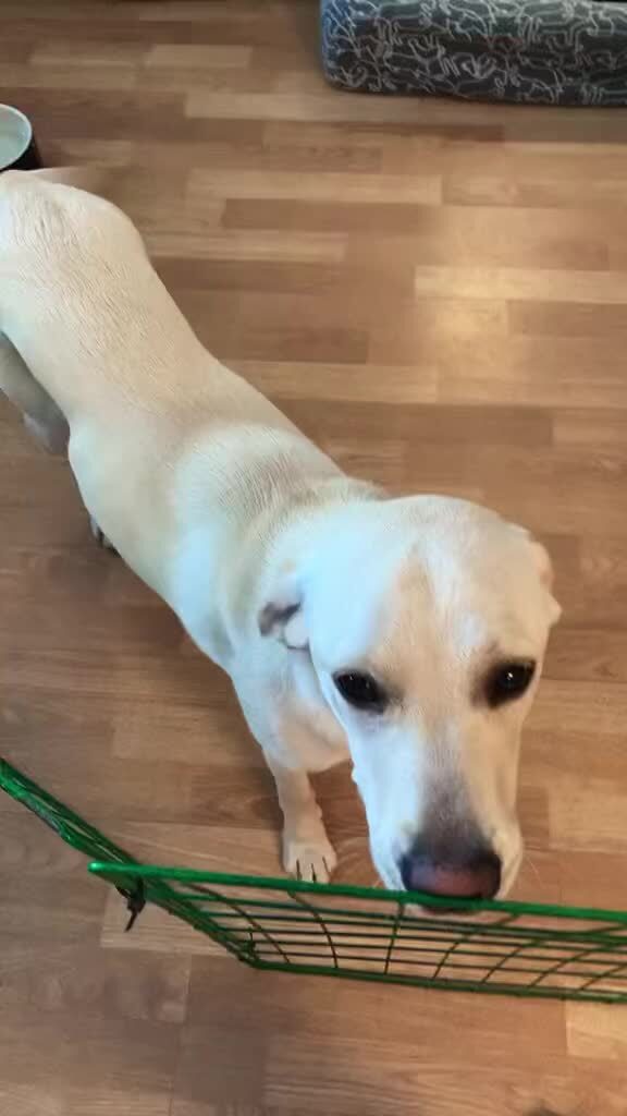 Instagram post from barkarbydjurakut.se. This post is in position 1.