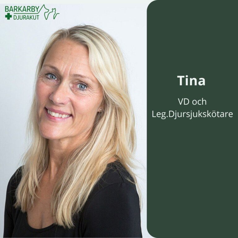 Instagram post from barkarbydjurakut.se. This post is in position 4.