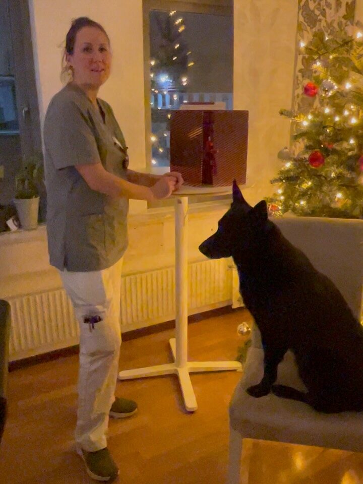 Instagram post from barkarbydjurakut.se. This post is in position 3.