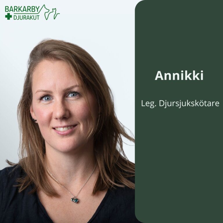 Instagram post from barkarbydjurakut.se. This post is in position 6.